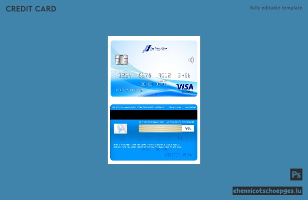 USA Nebraska Five Points Bank Visa Classic Card Beispielvorschau